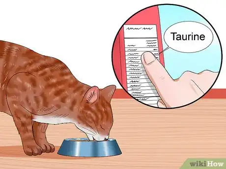 Image titled Treat Feline Retinal Disease Step 8