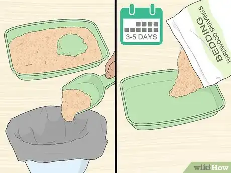 Image titled Reduce Rat Odor Step 11