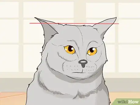 Image titled Figure Out Your Cat's Mood Step 12