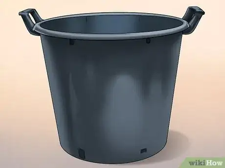 Image titled Grow Ginger in Your Garden Step 6