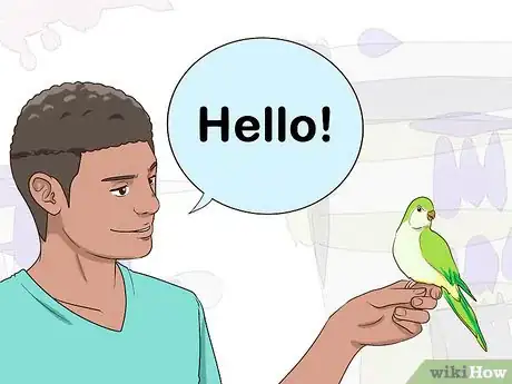 Image titled Entertain a Quaker Parrot Step 9