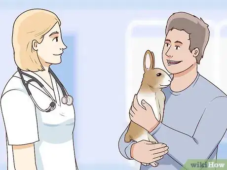 Image titled Keep Pet Rabbits Safe Step 12