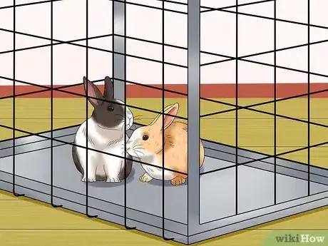 Image titled Socialize Your Rabbit Step 10