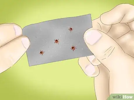 Image titled Prevent Tick Bites While Camping Step 22