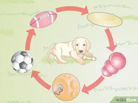 Image titled Avoid Dangerous Dog Toys Step 12