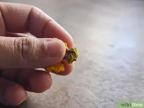 Image titled Make Pressed Flower Easter Eggs Step 2