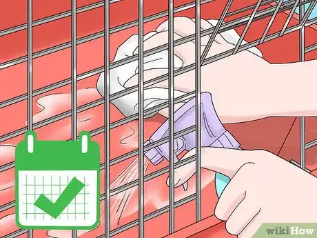 Image titled Care for a Polish Rabbit Step 5