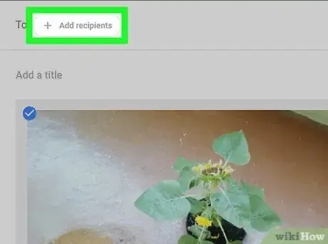 Image titled Create Collaborative Albums in Google Photos Step 13