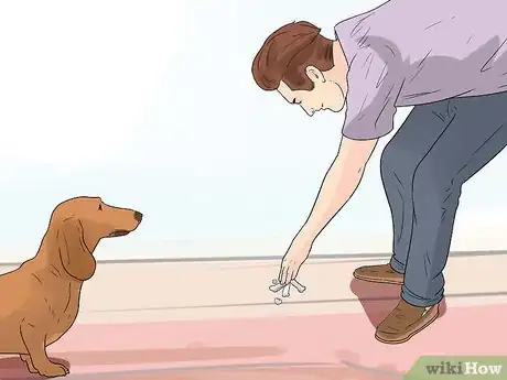 Image titled Teach a Dog to Read Sign Language Step 14