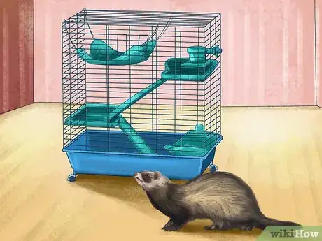 Image titled Buy a Ferret Step 20