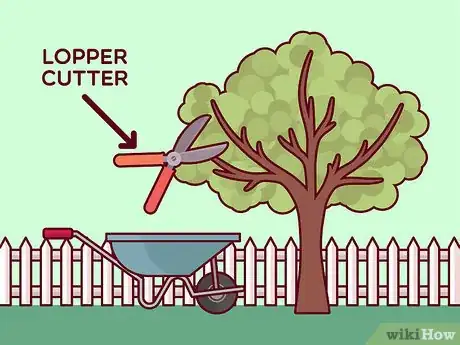 Image titled Do Basic Dormant Season Pruning Step 4