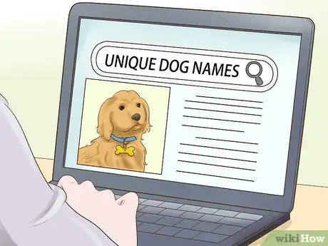 Image titled Find Unique Dog Names Step 4