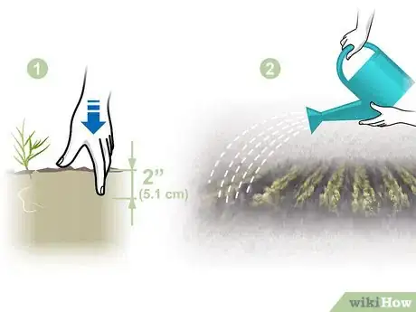 Image titled Grow Vegetables in the West Step 18