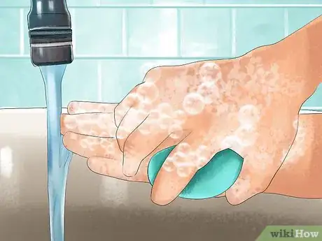 Image titled Prevent Ticks on Cats Step 10