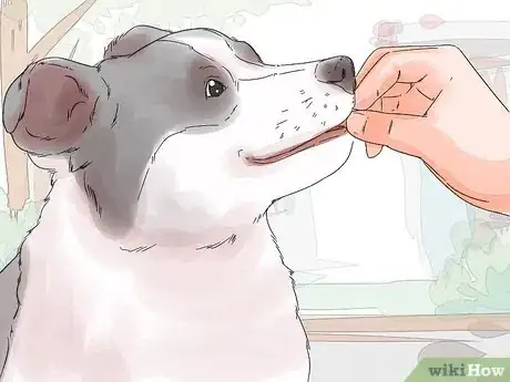 Image titled Photograph Dogs Step 12