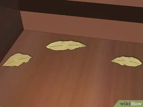 Image titled Get Rid of Pantry Moths Step 10