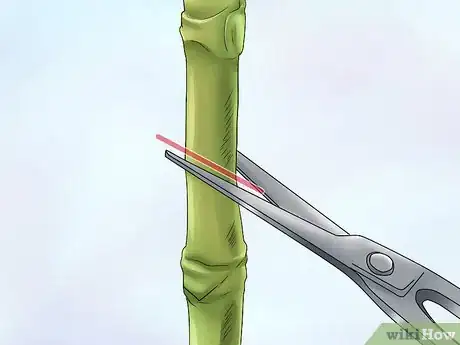 Image titled Create a Tropical Bouquet Step 4