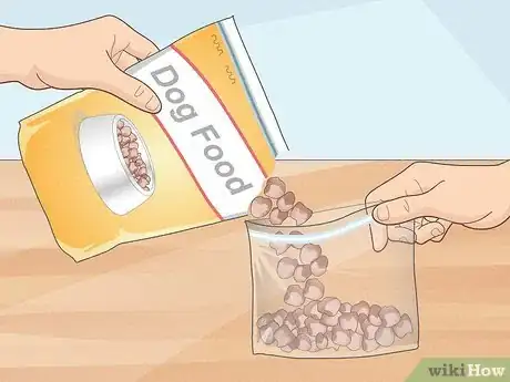 Image titled Move Cross Country with Multiple Pets Step 11