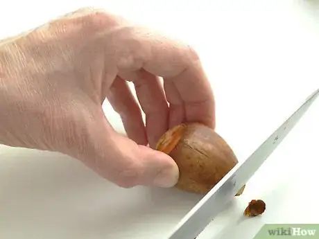 Image titled Grow an Avocado As a Houseplant Step 5