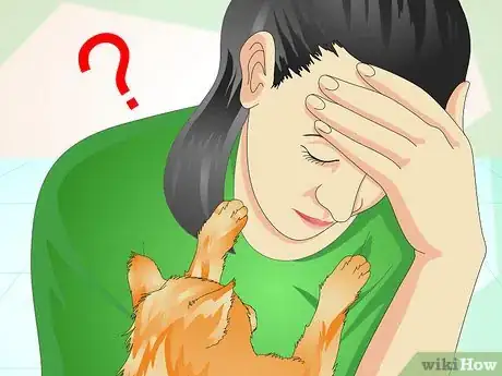 Image titled Comfort a Dying Cat Step 12