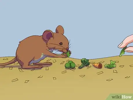 Image titled Feed a Gerbil Step 7