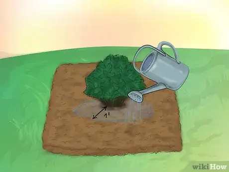 Image titled Grow Knockout Roses Step 8