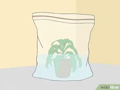 Image titled Revive a Wilted Herb Plant Step 3