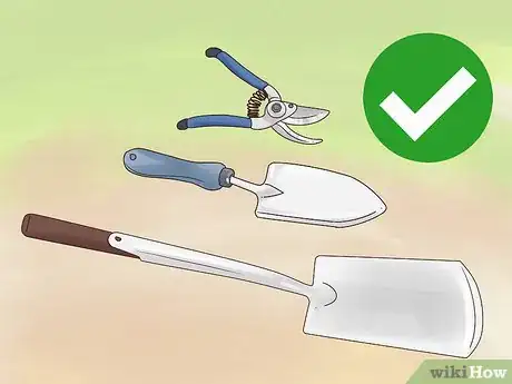 Image titled Divide Rhubarb Plants Step 4