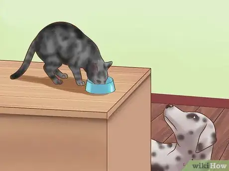 Image titled Keep Your Dog from Eating Your Cat's Food Step 2