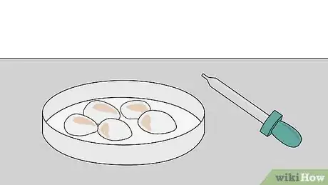 Image titled Grow Mushrooms Step 16