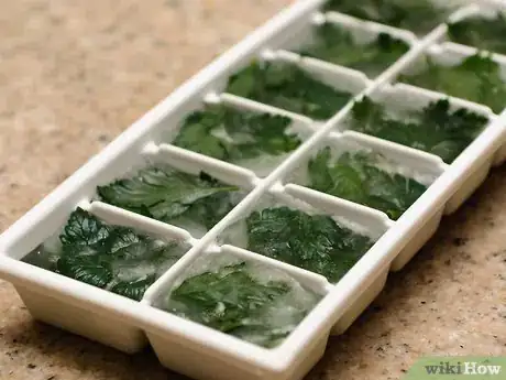 Image titled Make Ice Step 10