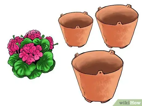 Image titled Grow Geraniums in Pots Step 2