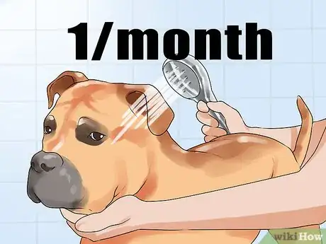 Image titled Groom a Short Haired Dog Step 6