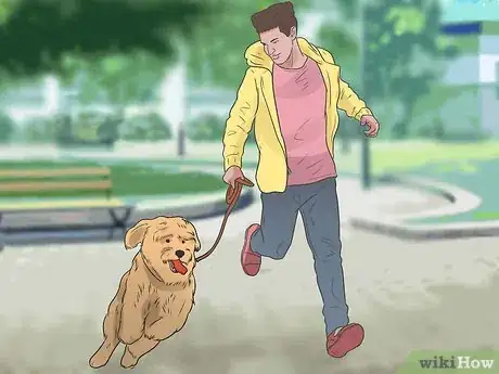 Image titled Care for Your Gun Dog Step 3