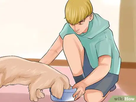 Image titled Involve Your Kids in Selecting a Dog Step 9