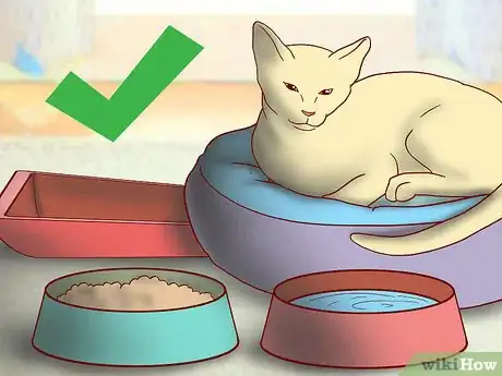Image titled Include Your Cat in Holiday Celebrations Step 9