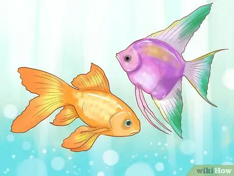 Image titled Choose Good Tankmates for Seahorses Step 4