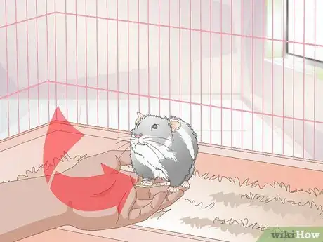 Image titled Deal With a Mean Hamster Step 3