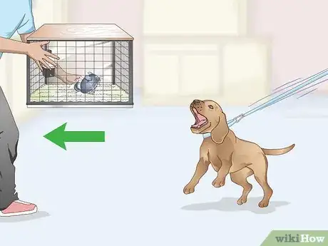 Image titled Help Your Chinchilla Adjust to its New Home Step 5