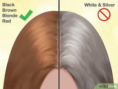 Image titled Transition Hair Color with Soft Roots Step 1