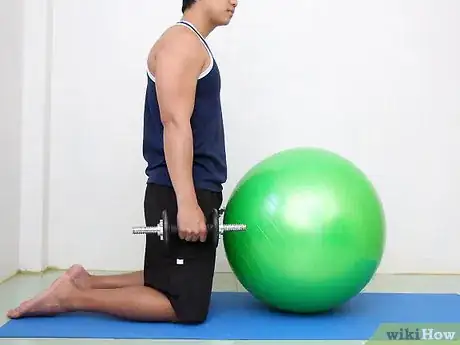 Image titled Work out Biceps With an Exercise Ball Step 2