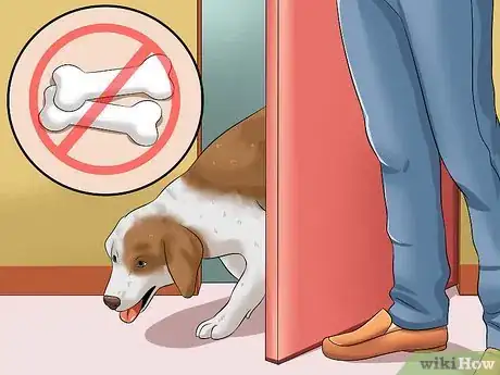 Image titled Teach Your Dog to Speak Step 18