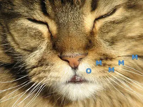 Image titled Ommmmmmm