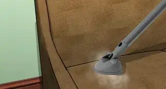 Kill Cigarette Beetles