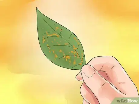 Image titled Care for a Weeping Cherry Tree Step 20