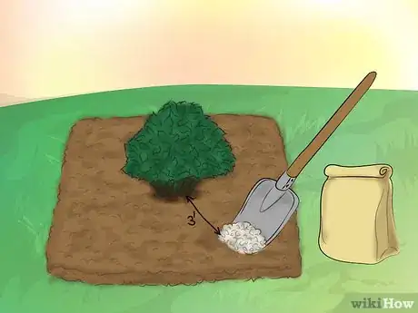 Image titled Grow Knockout Roses Step 5