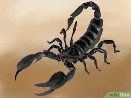 Image titled Draw a Scorpion Step 21