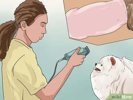 Image titled Diagnose Adrenal Gland Disease in Pomeranians Step 4