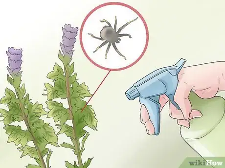 Image titled 549515 7