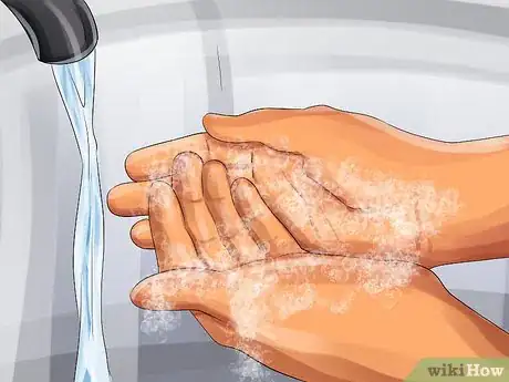 Image titled Treat Avian Pox in Button Quail Step 8